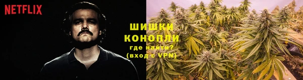 герыч Козельск
