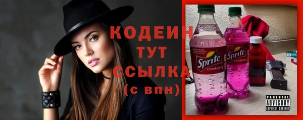 прущий лед Костерёво