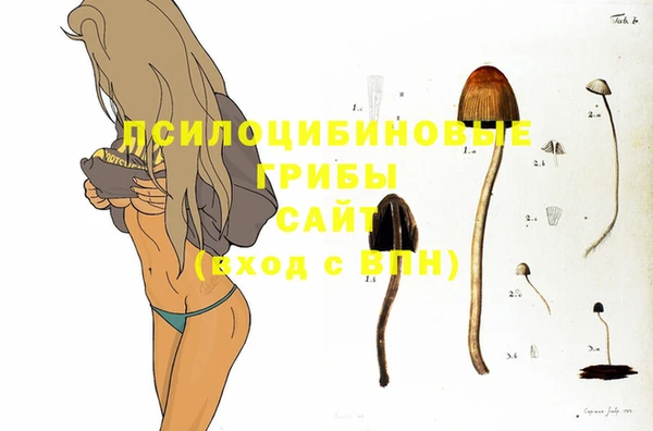 PSILOCYBIN Коряжма