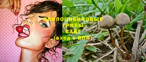 прущий лед Костерёво
