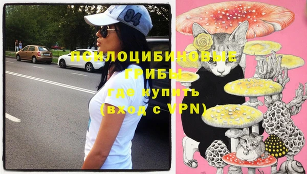 прущая мука Верхний Тагил
