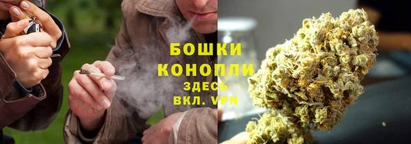 мдпв Корсаков